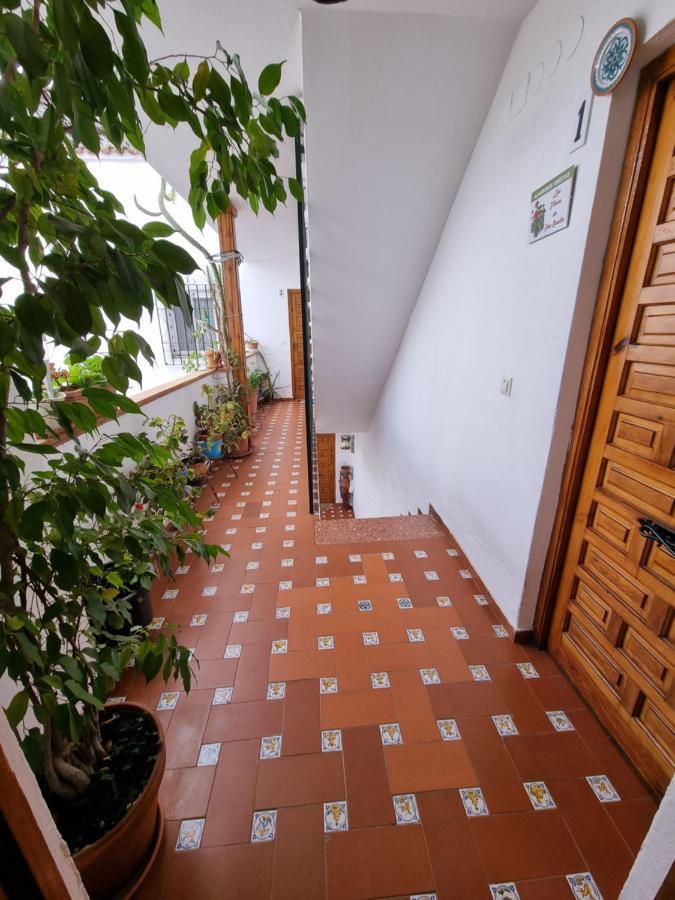 Appartamento Apartamento Entre Patios San Basilio Cordova Esterno foto